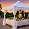 10'x10' - UNDERCOVER® X2 Canopy | ALUMINUM Professional | CRS Curtain-Walls | TILT-N-GO® - Image 2