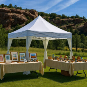 X2 10'x10' PROFESSIONAL VENDING Popup-Shade - CRS™ Curtain-Wall Enclosure , Wheel-Bag, Spikes